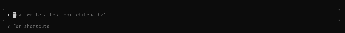 Claude Code Interaction