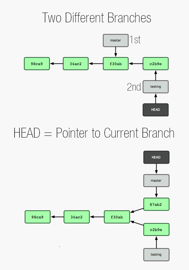 Git HEAD branch2