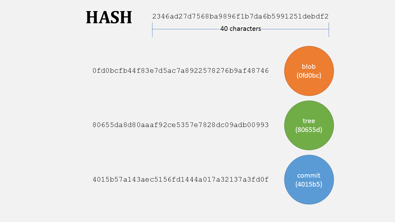 Git hash / SHA-1